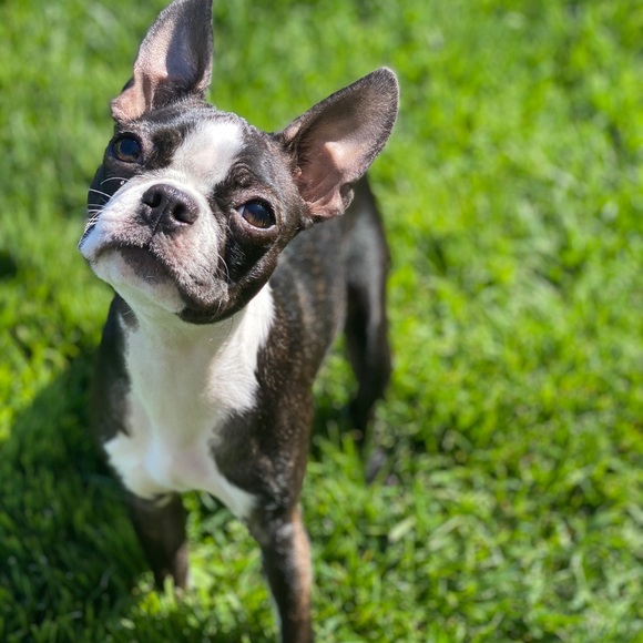 Meet your Posher, Leah - Picture 2 of 5